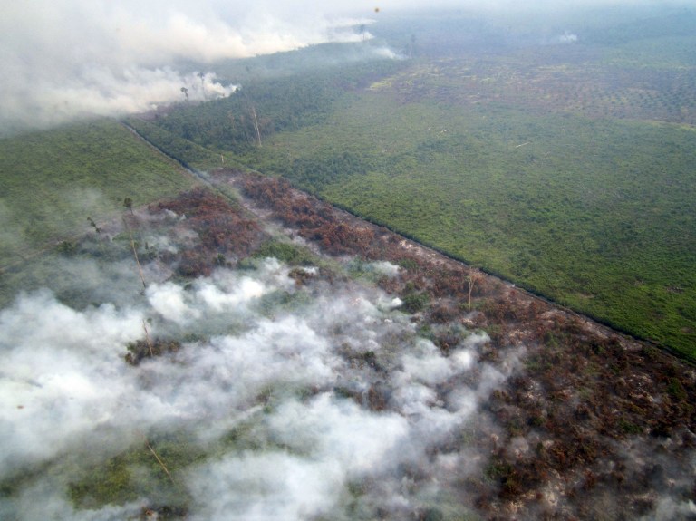 This aerial photograph taken on June 17, 2013 shows smoke billowing from fires in areas surrounded by agricultural plantations in the area of Rokan Hilir town in Bengkalis Regency of Riau province, on Indonesiau00e2u20acu2122s Sumatra Island. u00e2u20acu201d AFP pic
