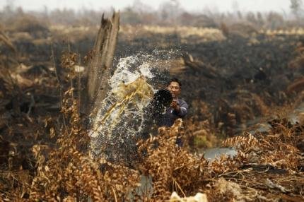 A worker pours water to extinguish a fire that is burning through his pineapple plantation in the haze-affected district of Tanah Putih in Rokan Hilir, Indonesiau00e2u20acu2122s Riau province on June 26, 2013. u00e2u20acu201d Reuters pic