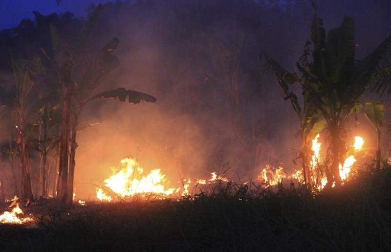 A fire burns in Bengkalis district of Indonesiau00e2u20acu2122s Riau province on June 27, 2013. u00e2u20acu201d Reuters pic