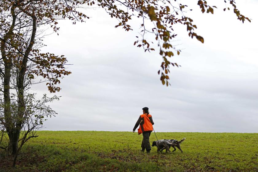 Dog named Trigger shoots owner in the foot in Indiana | Malay Mail