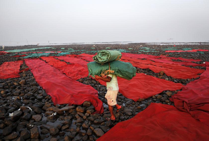 A worker carries carpets used for wedding functions to be washed along the Arabian Sea in Mumbai February 5, 2014. u00e2u20acu201d Reuters pic