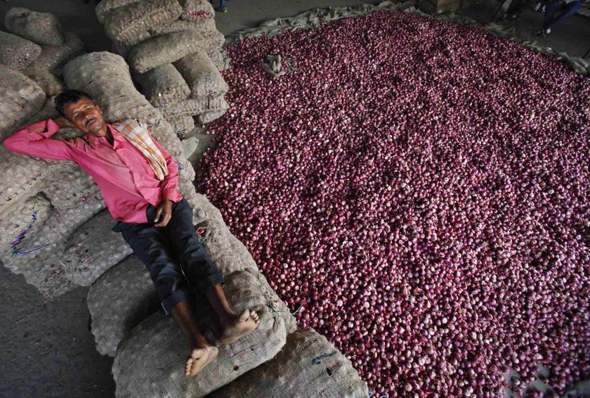 A labourer rests on sacks filled with onions at a wholesale vegetable market in the northern Indian city of Chandigarh October 24, 2013. u00e2u20acu201d Reuters pic
