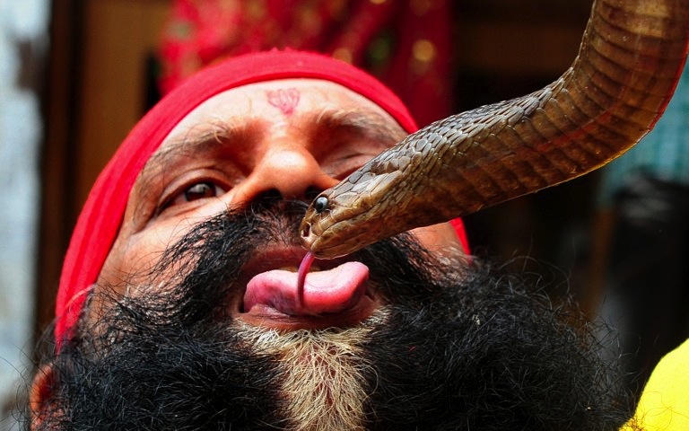 A Hindu man plays with a snake on the occasion of the Nag Panchami festival, outside the Nagvasuki temple in Allahabad on August 11, 2013. u00e2u20acu201d AFP pic