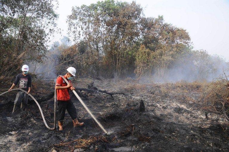 INDONESIA, Pelalawan : Firefighters battle forest fires in Pelalawan regency in Riau province located in Indonesia's Sumatra island on June 21, 2013. While Singapore and Indonesian environment ministers met in Jakarta on June 21 to discuss the haze proble