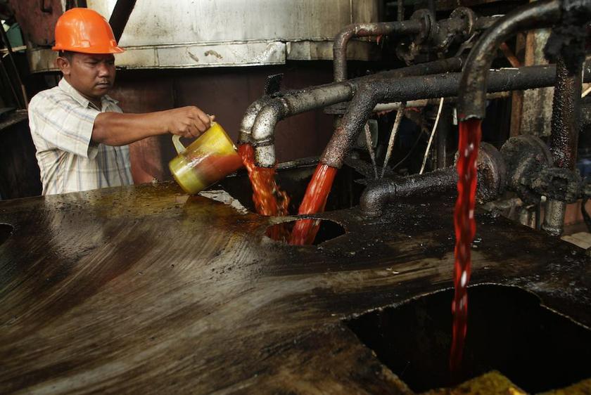 A worker checks the quality of crude palm oil (CPO) in a state CPO processing plant in Indonesiau00e2u20acu2122s North Sumatra province in this file photo taken May 29, 2012. u00e2u20acu201d Reuters pic