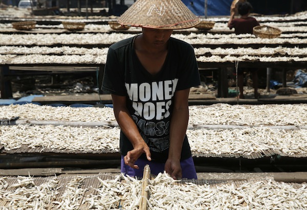 A worker lays fish on a mat for drying during dry fish processing at Marunda beach in North Jakarta, September 2, 2013. u00e2u20acu201d Reuters pic