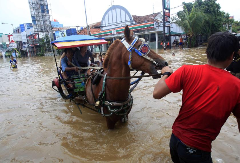 A horse-drawn cart carries passengers through floodwaters in Jakarta January 13, 2014. u00e2u20acu201d Reuters pic