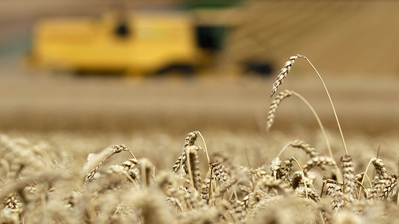 Swiss farmer harvests his organic wheat field near Sullens Reuters file