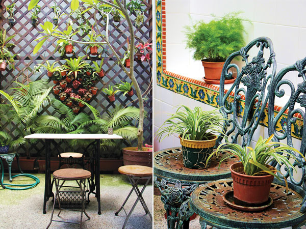 Customers enjoy the “garden patios”, small enclaves with a skylight and plenty of potted shrubs, at Lim Ko Pi (left). These chairs aren’t for sitting; they’re for the plants! (right)