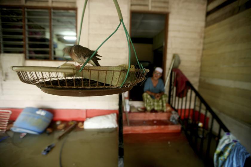 A resident sits in front of his house at a flood affected area in Temerloh December 7, 2013. u00e2u20acu201d Reuters pic