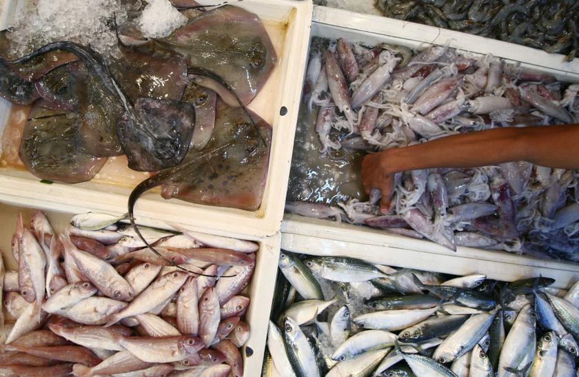 Seafood is seen in a wet market in Shah Alam outside Kuala Lumpur January 22, 2014. u00e2u20acu201d Reuters pic