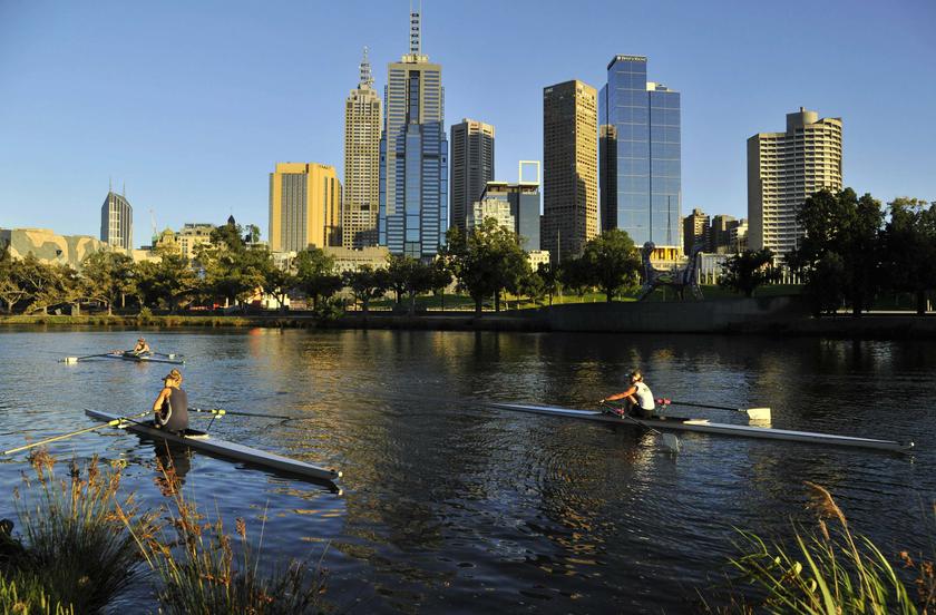Rowers train at dawn on Melbourne's Yarra River in this January 24, 2012 file photo. Reuters pic