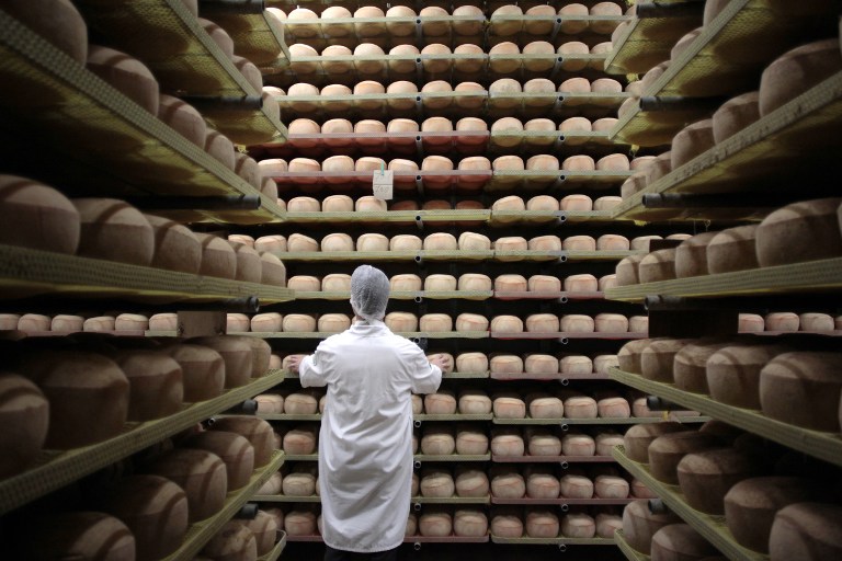 A cheesemonger checks mimolette cheese at a production site of the French Isigny Ste Mere company on July 4, 2013 in Isigny-sur-Mere, northwestern France. u00e2u20acu201d AFP pic