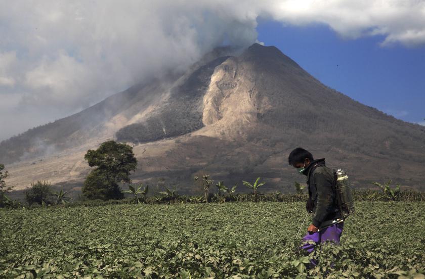 A villager sprays pesticide over potato crops as Mount Sinabung spews ash at Sibintun village in Karo district, North Sumatra province February 4, 2014. u00e2u20acu201d Reuters pic
