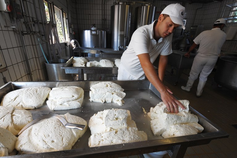Employees make buffalo mozzarella at the Tenuta Vannulo dairy farm in Capaccio on September 3, 2013. u00e2u20acu201d AFP pic