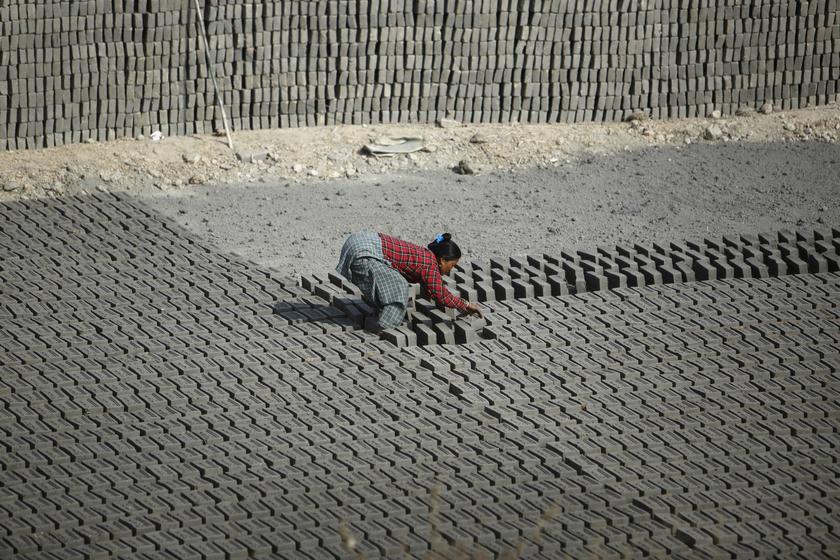 A woman flips bricks laid out to dry out in the sun before baking them at a brick factory in Lalitpur December 20, 2013. u00e2u20acu201d Reuters pic