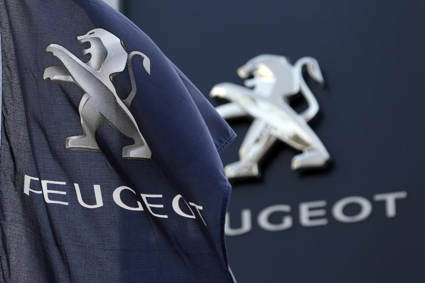 A flag with the company logo is seen outside a Peugeot automobile dealer in Paris December 13, 2013. u00e2u20acu2022 Reuters pic