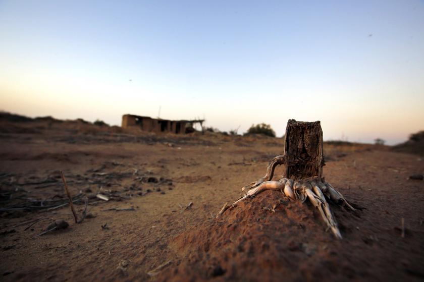 A dry plant stump is seen an abandon farm, near the dried up Shiyang river on the outskirts of Minqin town, Gansu province Sept 20, 2013. u00e2u20acu201d Reuters pic