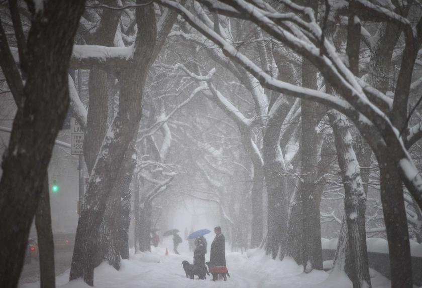 People walk along 5th Avenue at Central Park as it snows in New York February 14, 2014. u00e2u20acu201du00c2u00a0Reuters pic