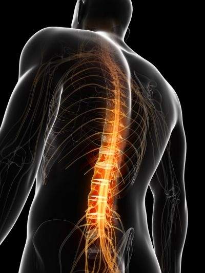 A new treatment for spinal cord injuries involves injecting umbilical cord blood mononuclear cells into patientsu00e2u20acu2122 damaged spines to help regenerate nerves. u00e2u20acu201d Picture courtesy of shutterstock.com
