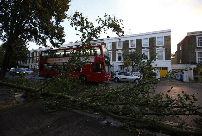 A bus travels past fallen trees in Islington, north London, after the St. Jude storm swept through southern parts of Britain October 28, 2013. u00e2u20acu201d Reuters pic