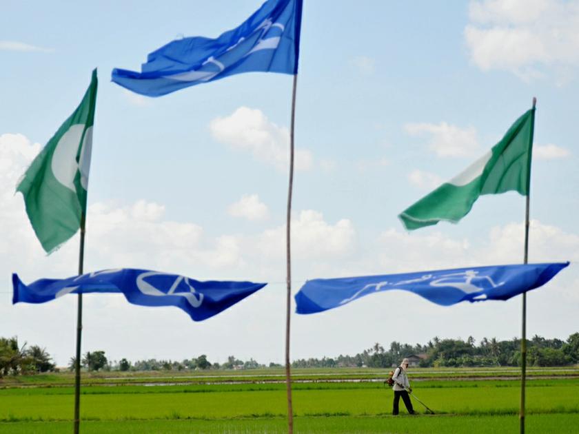 Barisan Nasional and Pas flags seen along the paddy field in Sungai Limau area during the run up of the Sungai Limau by-election, November 1, 2013. u00e2u20acu201d Picture by K.E. Ooi