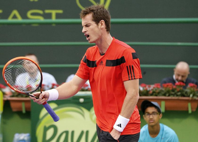 Andy Murray of Britain reacts during his match against Florian Mayer of Germany during their Qatar Open tennis match in Doha January 1, 2014 Reuters