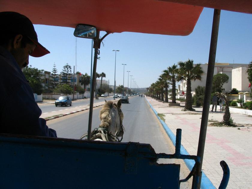 The best way to travel, on a horse-drawn carriage.