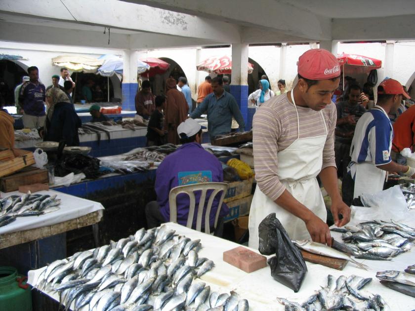 Fancy some fish for lunch... all fresh and cooked after you order.