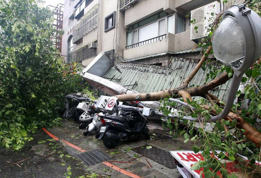 Motorcycles are damaged by fallen trees and lamp posts after strong winds and rain from Typhoon Soulik hit Taipei on July 13, 2013. u00e2u20acu201d Reuters pic